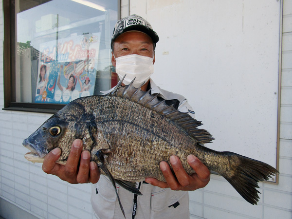 磯 波止 マイボート 釣果 いとう釣具店